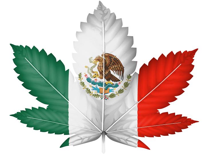 Meksyk debatuje