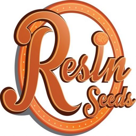 resin seeds nasionka feminizowane