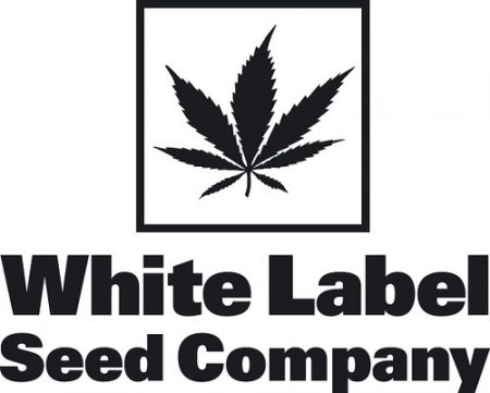 white label nasionka feminizowane marihuany konopi