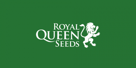 royal queen seeds seedbank breeder nasiona marihuany feminizowane konopi indyjskich