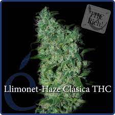Llimonet Haze - Classic THC