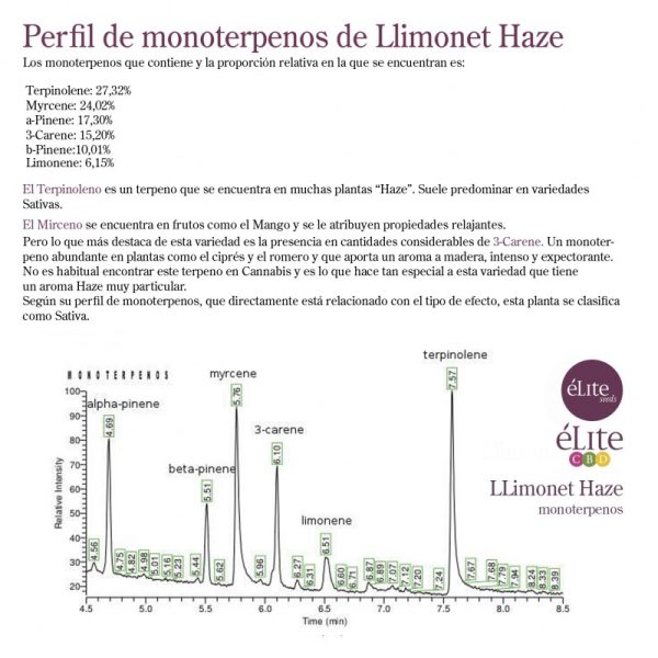 Llimonet Haze – Classic CBD