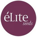 elite seeds logo breeder producent feminizowanych nasion