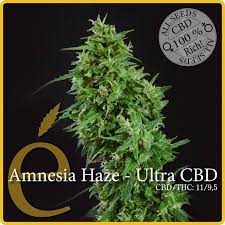 Amnesia Haze - Ultra CBD