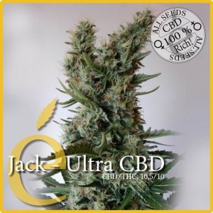 Jack - Ultra CBD
