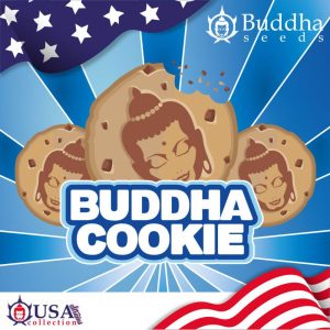 Buddha Cookie
