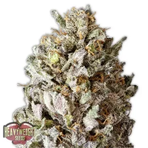 Diesel Drift – Heavyweight Seeds