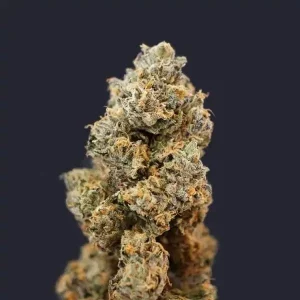 Sage'n Sour – T.H. Seeds