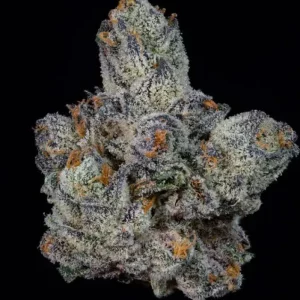 Lemon Fever – Wizard Trees