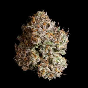 Obsidian – Wizard Trees