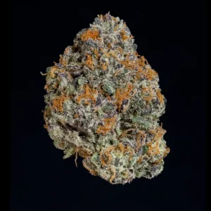 Potion – Wizard Trees