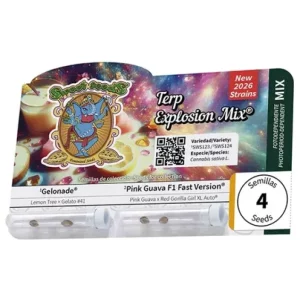 Terp Explosion Mix – Sweet Seeds