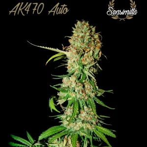 AK 470 Auto – Sensimilla