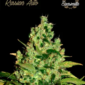 Skunk B52 Auto – Sensimilla