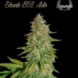 Russian Auto – Sensimilla