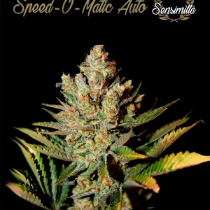 Skunk B52 Auto – Sensimilla