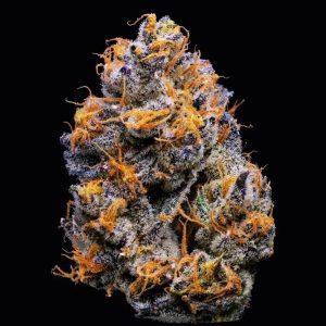 Miami Yayo – Cookies Seeds