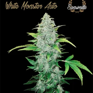 White Monster Auto – Sensimilla