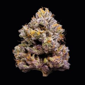 Wet Wet – Cookies Seeds