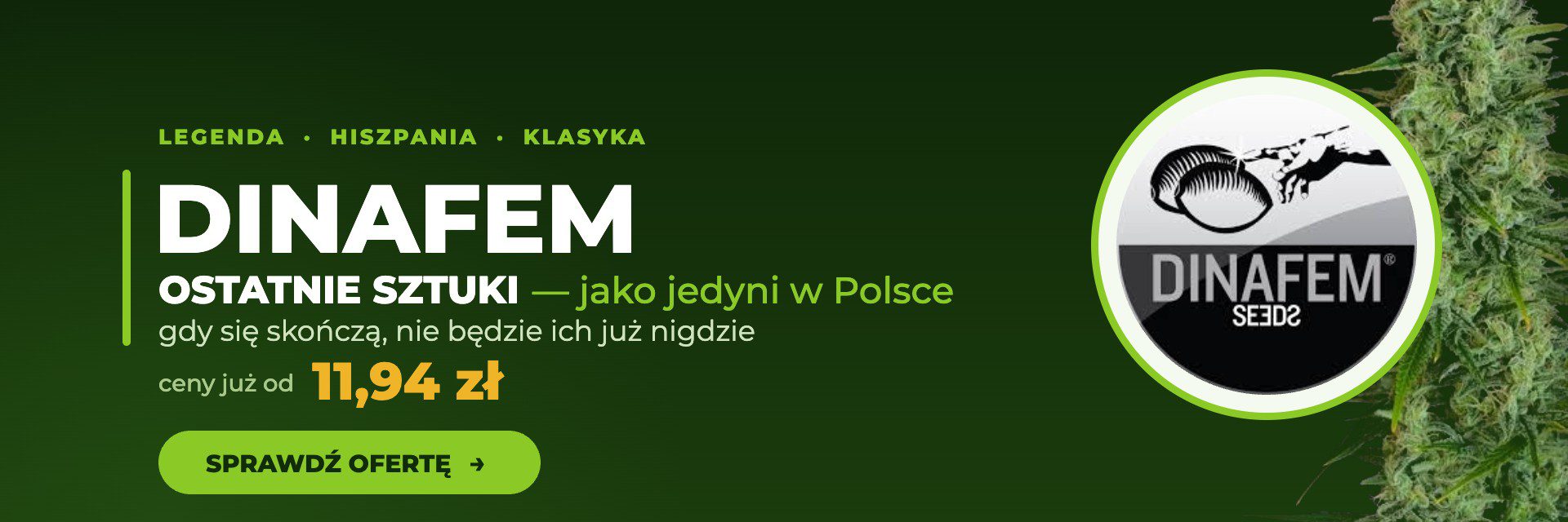 Dinafem – ostatnie sztuki klasycznych odmian